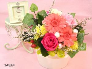 �ץꥶ���֥ɥե����Ρ�ppk-001