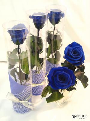 �ץꥶ���֥ɥե����Ρ�ER-01