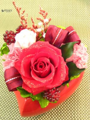�ץꥶ���֥ɥե����Ρ�hp-006