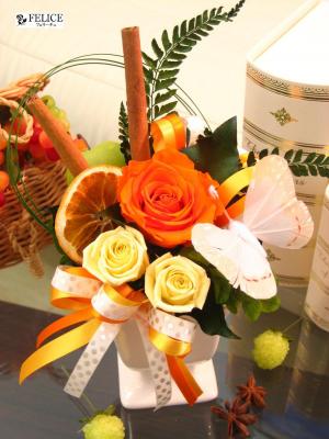 �ץꥶ���֥ɥե����Ρ�or-005