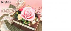�ץꥶ���֥ɥե����Ρ��ե��꡼������󥰥ԥ���BOX