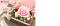 �ե��꡼������󥰥ԥ���BOX